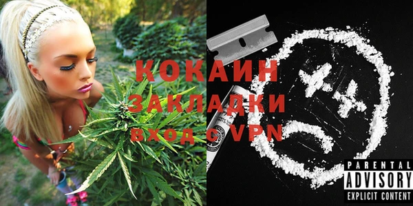 соль ск Куртамыш
