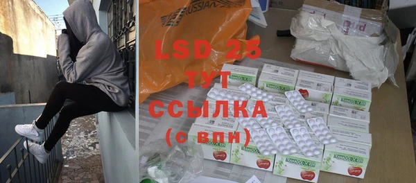 шишки Пестово