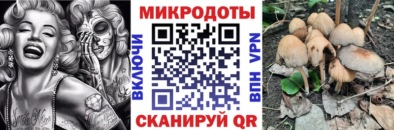Галлюциногенные грибы Magic Shrooms  Темников 